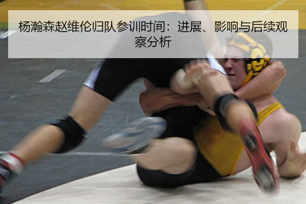 杨瀚森赵维伦归队参训时间：进展、影响与后续观察分析
